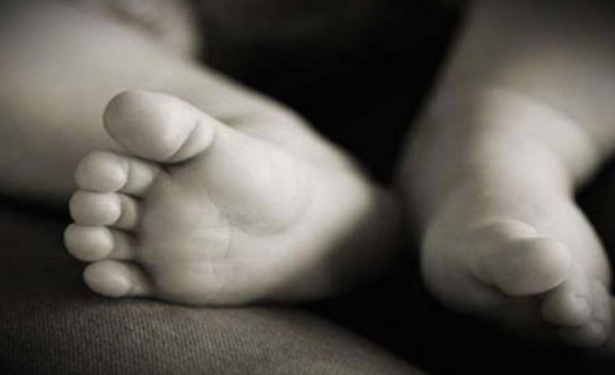 Warga Sampang Temukan Bayi di Semak-Semak, Polisi Buru Pelaku