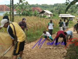 Pemdes Tobai Barat Giat Gotong Royong Bersama Masyarakat Perbaiki Jalan Poros Desa Secara Swadaya