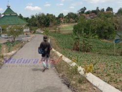 Tingkatkan Infrastrukur Desa, Pemdes Tobai Tengah Sampang Lakukan Pengaspalan Jalan