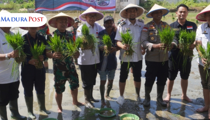 KEGIATAN. Potret DKPP Sumenep dan jajaran Forkopimda dalam giat tanam padi. (Istimewa for MaduraPost)