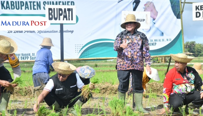 TANAM PADI. Bupati Sumenep Achmad Fauzi Wongsojudo (berdiri, tengah) bersama sejumlah pejabat dan petani mengikuti kegiatan tanam padi di Desa Poreh, Kecamatan Lenteng, Kamis (8/5/2025). (Istimewa for MaduraPost)