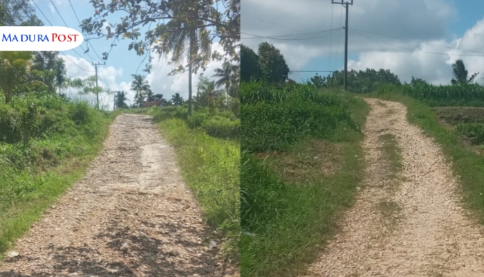 RUSAK. Potret dua ruas jalan desa di Lebeng Timur tampak rusak dan tak terurus, meski perbaikan selalu tercantum dalam program tahunan pemerintah desa. (Istimewa for MaduraPost)