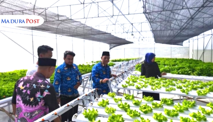 MENINJAU. Kepala DKPP Sumenep, Chainur Rasyid, meninjau budidaya sayuran premium di greenhouse milik petani milenial Desa Kasengan, Kecamatan Manding. (Istimewa for MaduraPost)