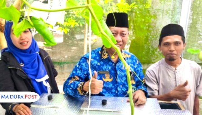 MENINJAU. Potret Kepala DKPP Sumenep, Chainur Rasyid (tenga), saat meninjau langsung uji coba budidaya melon sistem Machida milik Halik, petani asal Desa Kasengan, Kecamatan Manding, Kamis, 17 Juli 2025 lalu. (Istimewa for MaduraPost)