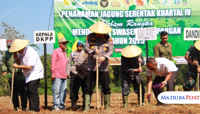 SEREMONI. Kepala DKPP Sumenep, Chainur Rasyid, bersama Forkopimda dan petani saat melakukan penanaman jagung serentak kuartal IV tahun 2025 di Sumenep. (Istimewa for MaduraPost)