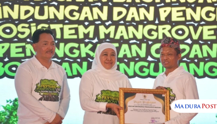 SIMBOLIS. Penghargaan diserahkan langsung oleh Gubernur Jawa Timur kepada Rektor UTM, Prof. Dr. Safi’, S.H., M.H., pada kegiatan Festival Mangrove VIII yang diselenggarakan di Pantai Martajasah, Bangkalan. (Suryadi Arfa/MaduraPost)